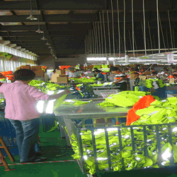 reflective vest workshop